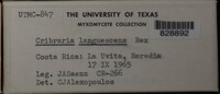 Image Associated With the Occurence